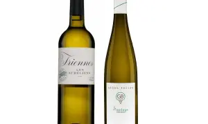 Två flaskor vitt vin, perfekt vin till pilgrimsmusslor. En flaska Triennes Les Auréliens och en flaska Georg Breuer Sauvage Riesling.