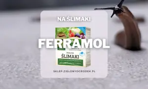 Ferrramol - fosforan żelaza na ślimaki. Granulat skutecznie zwalcza ślimaki, ulegając biodegradacji. Chroni rośliny.