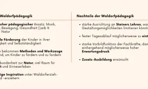 Vorteile und Nachteile der Waldorfpädagogik: ganzheitlicher Ansatz, individuelle Förderung, Naturverbundenheit vs. starre Ausrichtung, fester Tagesablauf. Was ist ein Waldorfkindergarten?