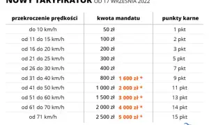 Ile osób w busie? Prawo jazdy, mandaty, kary. Jedź legalnie!