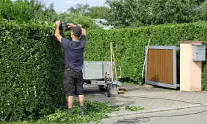 Mann trimmt eine dichte Hecke mit einer Heckenschere. Schnittgut liegt auf dem Boden. Ein Anhänger und Gartengeräte stehen bereit.