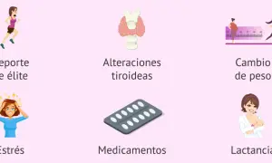 Si no me baja la regla, podría ser por deporte de élite, estrés, cambio de peso, alteraciones tiroideas, medicamentos o lactancia.