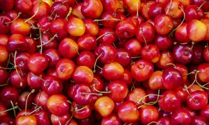 Mnóstwo soczystych czereśni, idealnych na zdrową przekąskę. Sprawdź, ile mają czereśnie kcal!