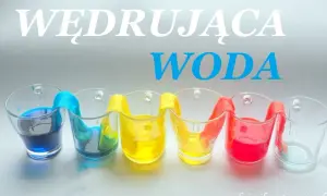 Eksperymenty z wodą dla dzieci: Magia nauki w domu!