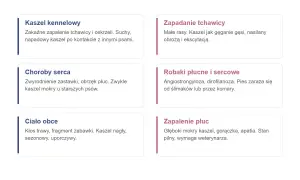 Najczęstsze przyczyny kaszlu u psa: kaszel kennelowy, zapadanie tchawicy, choroby serca, robaki płucne i sercowe, ciało obce, zapalenie płuc. Zastanawiasz się, co podać psu na kaszel? Sprawdź przyczyny!