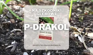 P-Drakol to mikrobiologiczny preparat doglebowy, który ogranicza szkodniki glebowe, takie jak pędraki i nicienie, stymulując rozwój systemu korzeniowego.