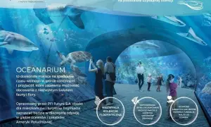 Oceanarium Nautilus w Gdańsku: Co musisz wiedzieć o otwarciu i atrakcjach