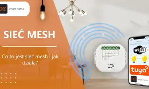Sieć mesh w inteligentnym domu: moduł sterujący i aplikacja Tuya pokazują, co to jest mesh i jak działa, zapewniając stabilne połączenie.