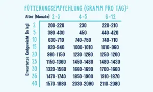 Futterempfehlung für Welpen: Tabelle zeigt die tägliche Futtermenge in Gramm basierend auf Alter und erwartetem Endgewicht.