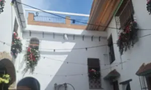 Taberna El Abanico: La joya de Córdoba con patio y tapas auténticas