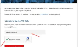 Moja domena: co to znaczy? Klucz do Twojej obecności online