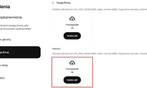 Ustawienia strony: wybór pliku dla ikony strony (favicon) i jej optymalny rozmiar.