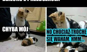 Śmieszne memy o ojcu odbierającym dziecko z przedszkola, które rozbawią każdego