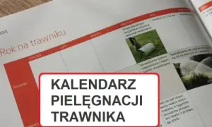 Trawnik idealny przez rok: Pełny kalendarz pielęgnacji w Polsce