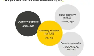 Wykres przedstawia rodzaje domen: globalne (.COM, .EU), krajowe (.PL, .CZ), nowe (.online, .app) i regionalne (.PODLASIE.PL, .WAW.PL), pokazując bogactwo wyboru dla każdej domeny firmy.