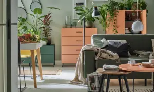 Salon z kanapą w kolorze zielonym i meblami w odcieniach pomarańczowego. Mnóstwo roślin tworzy przytulną atmosferę.