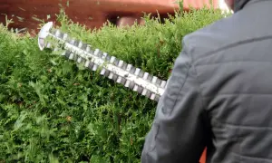 Mann mit Heckenschere schneidet grüne Hecke. Selbst im Winter ist das **Hecken schneiden** wichtig für die Form.