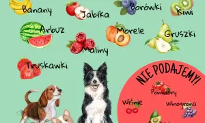 Warzywa dla szczeniaka: Co bezpieczne, a co toksyczne?