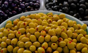 Czy pies może jeść oliwki? Sprawdź ryzyko i bezpieczne zasady