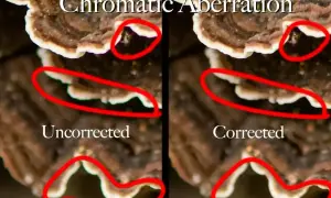 Porównanie zdjęć grzyba: po lewej "Uncorrected" z widoczną **aberracją chromatyczną** (kolorowe obwódki), po prawej "Corrected" bez niej.