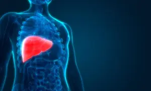 Anatomia człowieka: czerwona wątroba, kluczowa dla metabolizmu i detoksykacji, wpływa na poziom fosfatazy zasadowej.