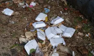 Gdzie utylizować styropian? Sprawdź, jak uniknąć kar za błędy