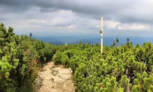 Kamienista ścieżka prowadzi przez kosodrzewiny na szlaku na Pilsko. W oddali widać góry i burzowe chmury.
