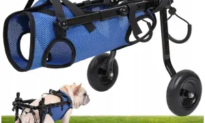 Najlepszy wózek dla psa Pet Gear: komfort i bezpieczeństwo w podróży