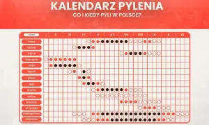 Co teraz pyli w Szczecinie? Aktualny raport, kalendarz i porady!