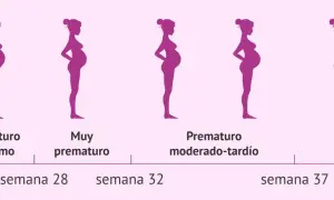 Siluetas de embarazos y un bebé. Muestran que a partir de la semana 28 puede nacer un bebé prematuro.