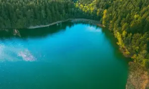 Głębokie, turkusowe jezioro otoczone gęstym lasem. Woda lśni w słońcu, tworząc odbicia chmur.