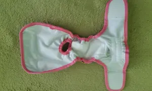 Pielucha dla psa DIY: Szybkie rozwiązania na cieczkę i nietrzymanie.