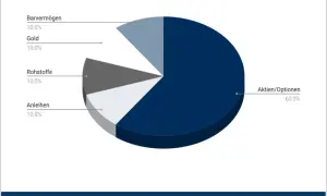 Kreisdiagramm zeigt eine Beispiel-Asset-Allocation: 60% Aktien/Optionen, je 10% Barvermögen, Gold, Rohstoffe und Anleihen.