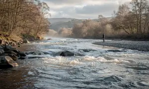 Ein Mann steht am Ufer und geht angeln in Schottland. Der Fluss ist wild und von Bäumen gesäumt.