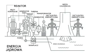 Schemat działania elektrowni jądrowej: reaktor, turbina, generator, transformator, wieża chłodnicza i sieć energetyczna. Energia jądrowa w pigułce.