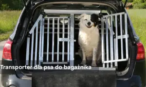 Najlepsze transportery dla psa w Zooplus - wybierz idealny model