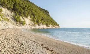 Spiaggia di sassi neri e sabbia dorata, con una scogliera ricoperta di pini che si tuffa nel mare azzurro.