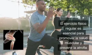 Atrofia muscular: ¿Qué es, cómo evitarla y recuperar tu fuerza?