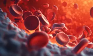 Czerwone krwinki w naczyniu krwionośnym, w tle pomarańczowe światło.