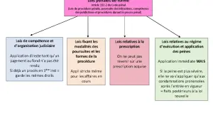 Schéma des lois pénales de forme, abordant le type de vol et ses conséquences juridiques.