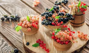 Schwarze, rote und weiße Johannisbeeren in Holzschalen und einem Fass auf Holzhintergrund.