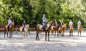 Grupa osób na koniach podczas lekcji **hipologii**. Wszyscy w kaskach, gotowi do jazdy.