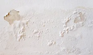 Abblätternde Farbe und Blasenbildung an einer weißen Wand zeigen deutlich, dass man eine feuchte Wand erkennen kann.