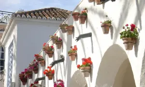 Maceteros de flores adornan una pared blanca, un rincón romántico para saber qué hacer en Nerja en pareja.