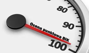 Jak sprawdzić BIK? Prosty przewodnik i poprawa scoringu