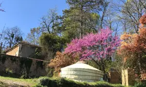 Une yourte d'hôtes en Dordogne, nichée au milieu d'arbres en fleurs et d'une végétation luxuriante, avec une maison en pierre en arrière-plan.