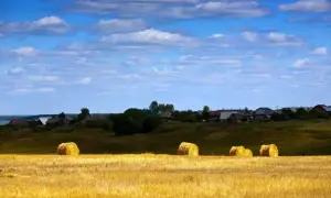 Agroturystyka czy to dobry biznes? Odkryj ukryte zyski i wyzwania