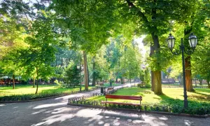 Słoneczna sadyba pełna zieleni, z alejkami, ławkami i latarniami.
