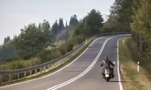 Motocyklista na zakręcie górskiej drogi, otoczony drzewami.