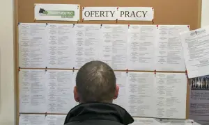 Mężczyzna przegląda tablicę z ofertami pracy w Powiatowym Urzędzie Pracy. Może szukać pracy, która zapewni mu godną kuroniówkę.